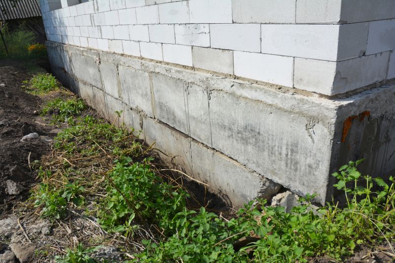 Foundation Damage Repair
